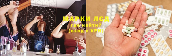 дурь Бородино