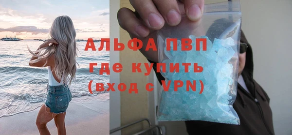 дурь Бородино