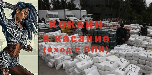 дурь Бородино