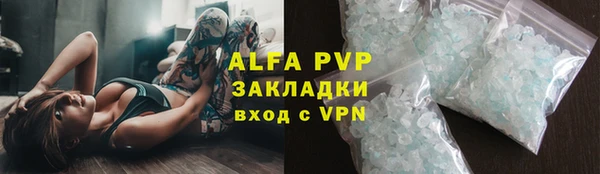дурь Бородино
