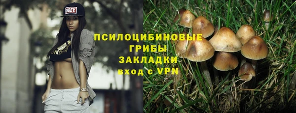 дурь Бородино