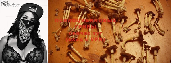 соль курить ск Бугульма