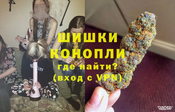 дурь Бородино