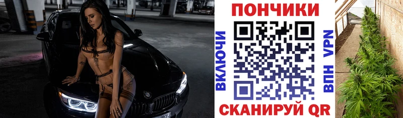 Каннабис план  Бронницы 